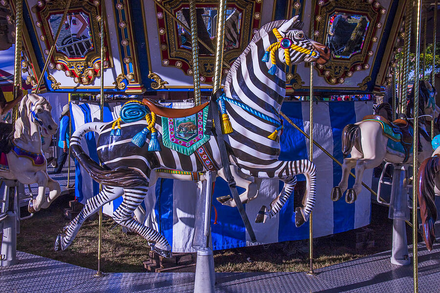 Fantasy Photograph - Zebra Ride by Garry Gay