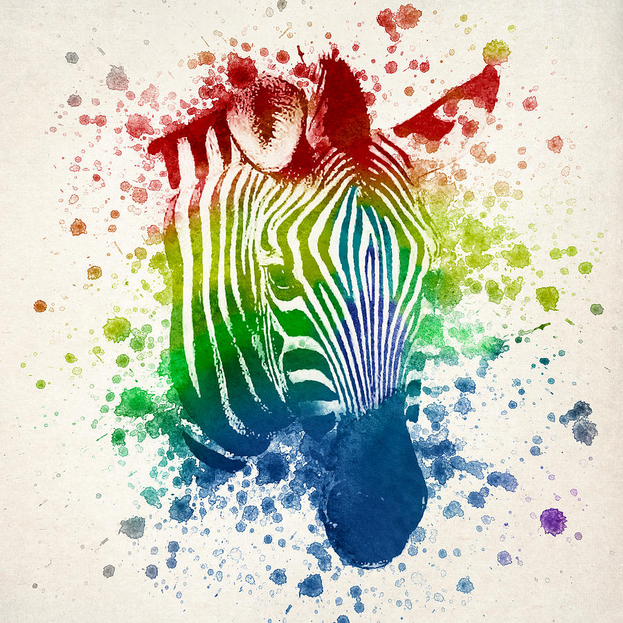 Zebra Digital Art - Zebra Splash by Aged Pixel
