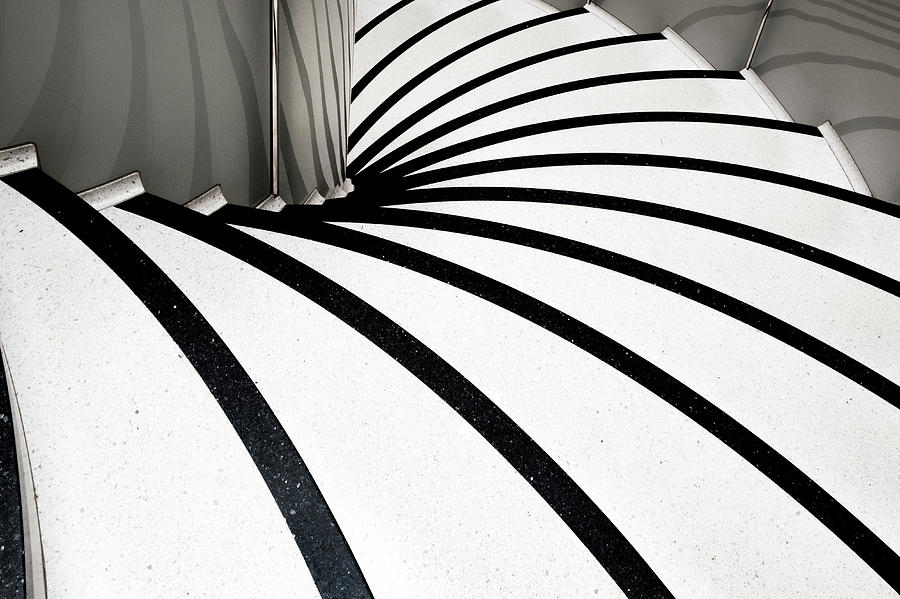 Zebra Steps Photograph by Linda Wride