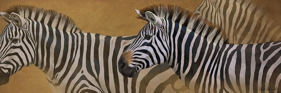 Zebra Digital Art - Zebra Trio by Aaron Blaise