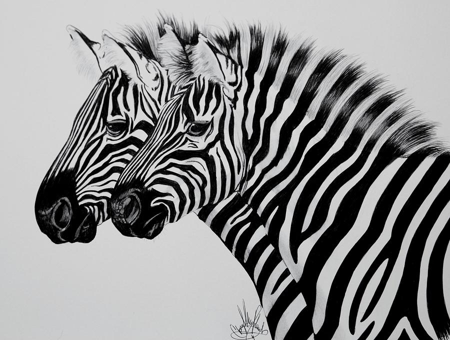 Zebra Drawing - Zebra Twins by Cheryl Poland