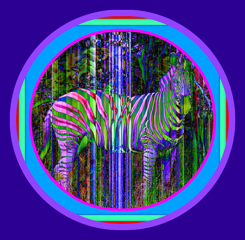 Zebra Two Digital Art by MarvL Roussan