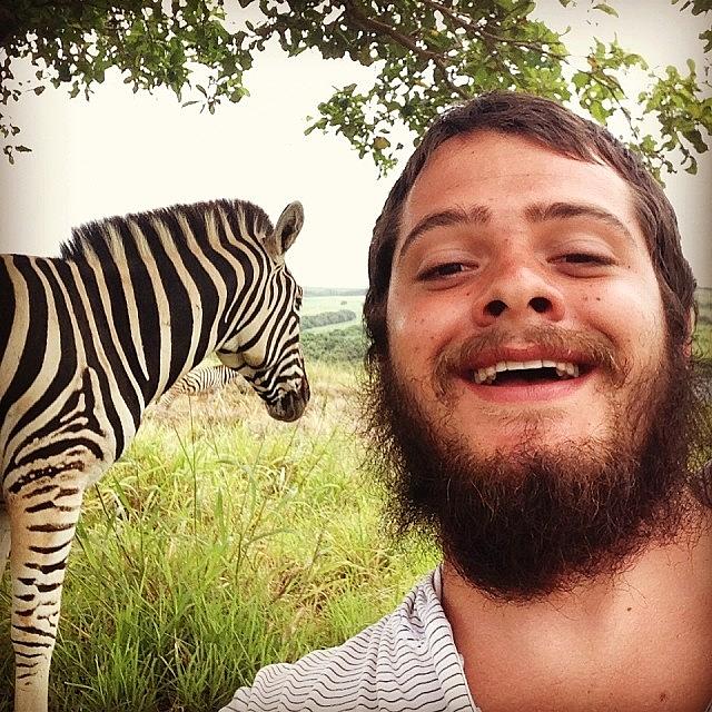 Zebra Beard