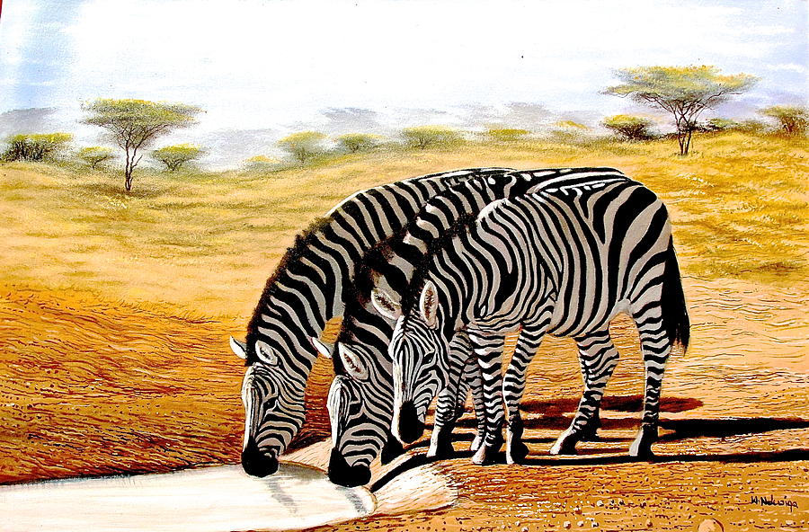 Zebras Drinking Painting by Wycliffe Ndwiga