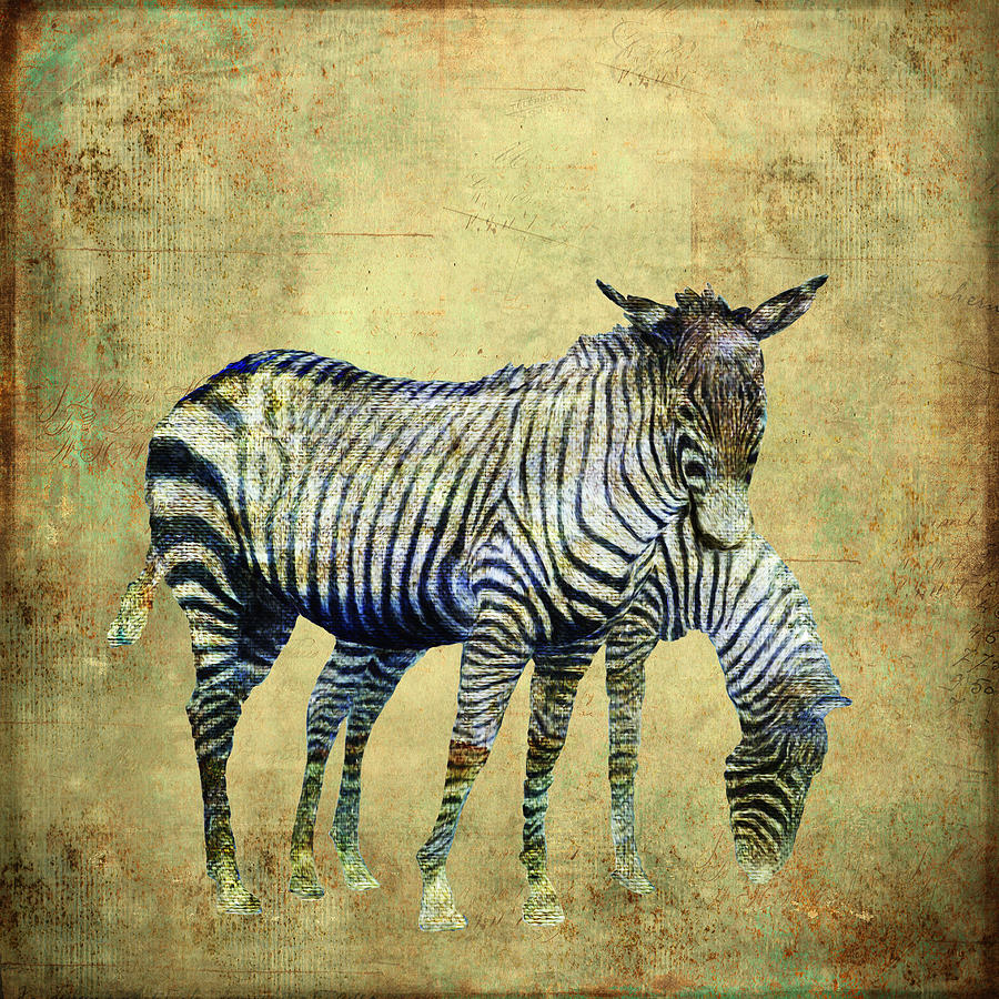 Zebras grazing Digital Art by Sandra Selle Rodriguez