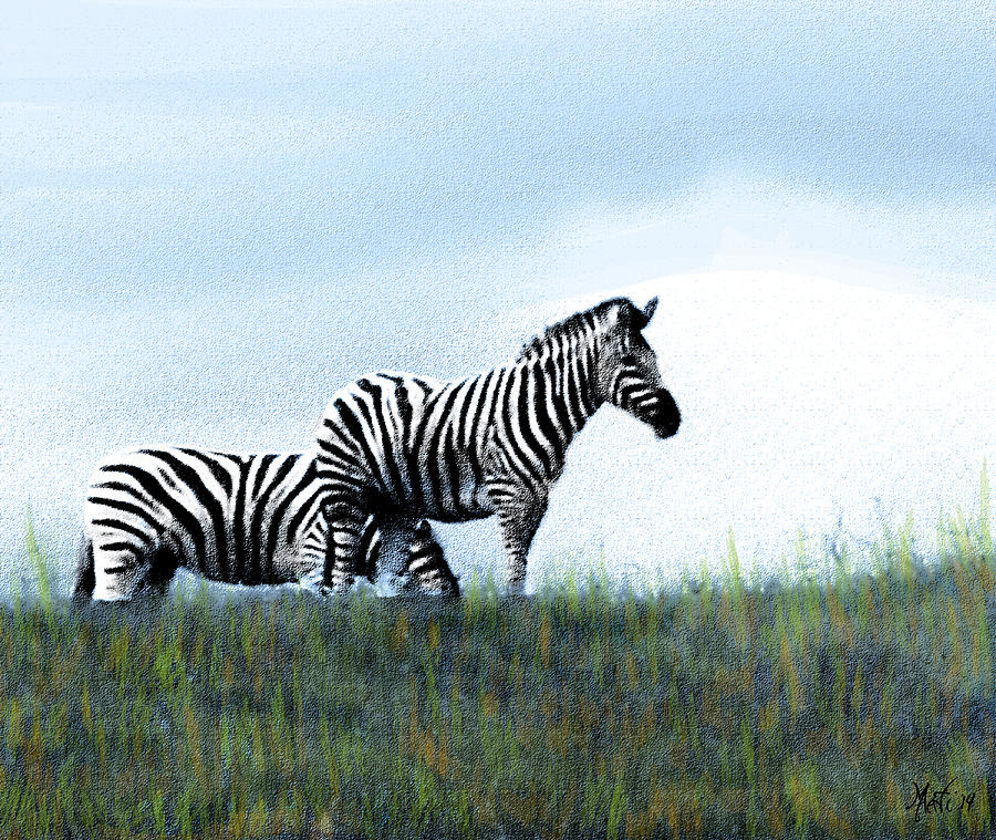 Zebras Photograph by Michele Avanti