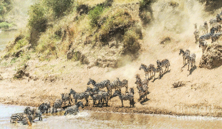 Zebras nervously crossing the Mara River Kenya Digital Art by Liz Leyden