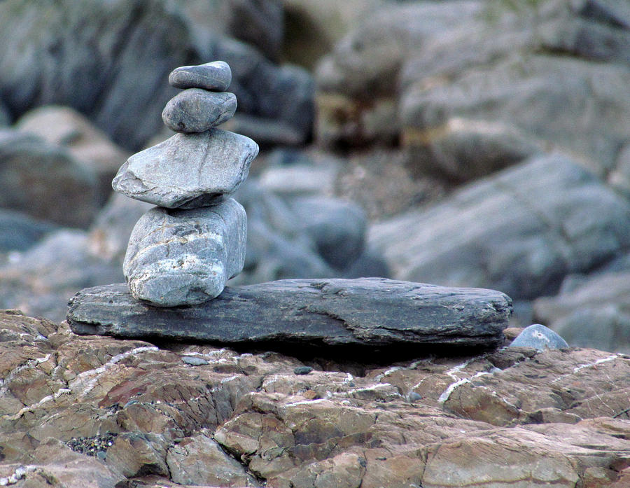 Zen Among the Rocks Photograph by Lori Lafargue