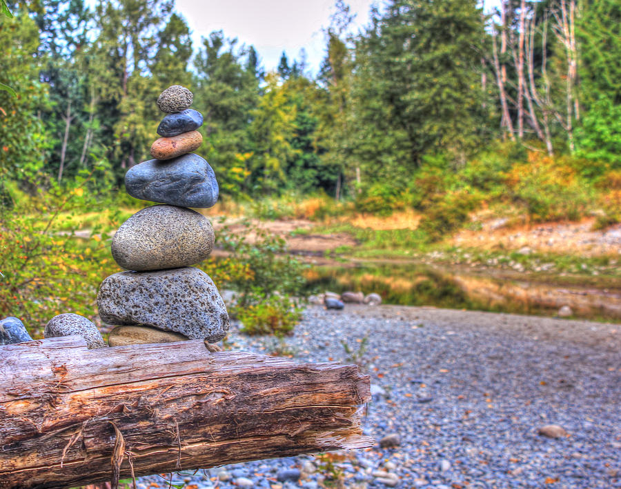 Zen Balanced stones on a tree Photograph by Eti Reid
