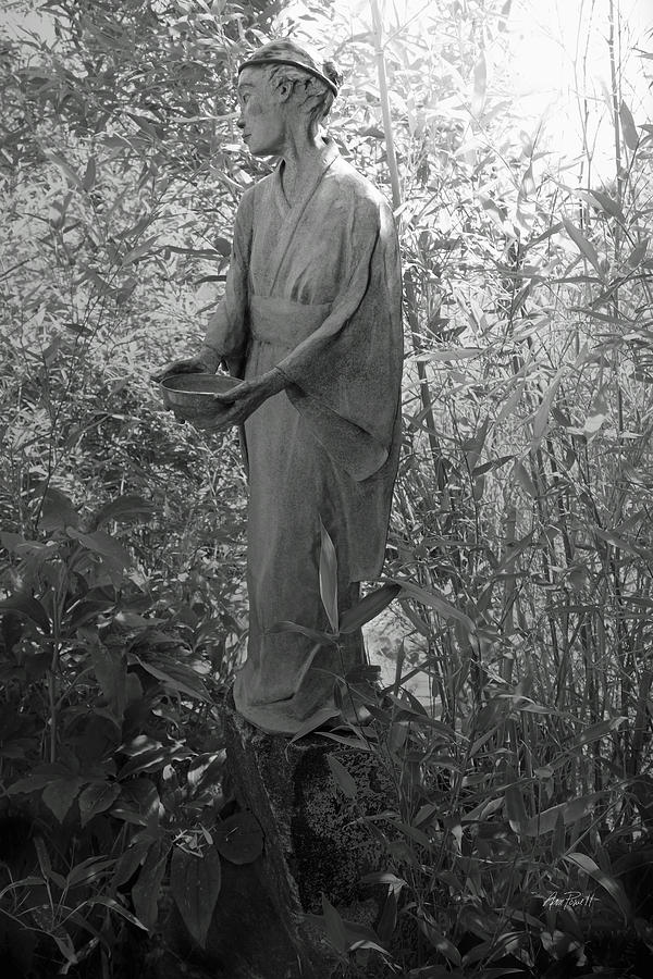 Zen Bamboo Garden black and white photography Photograph by Ann Powell
