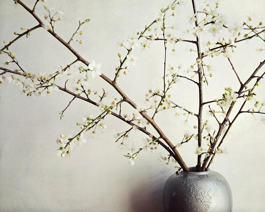 Zen Bouquet Photograph by Lupen Grainne