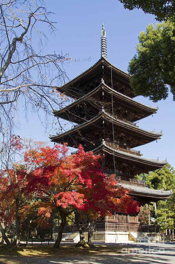 Zen monastery clatskanie oregon