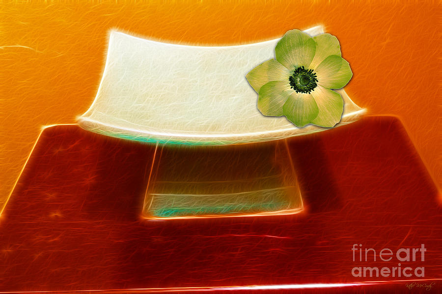 Zen Flower Dish Photograph by Kathie McCurdy