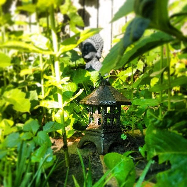 Garden Photograph - #zen #garden #photography #instalike by September Stone