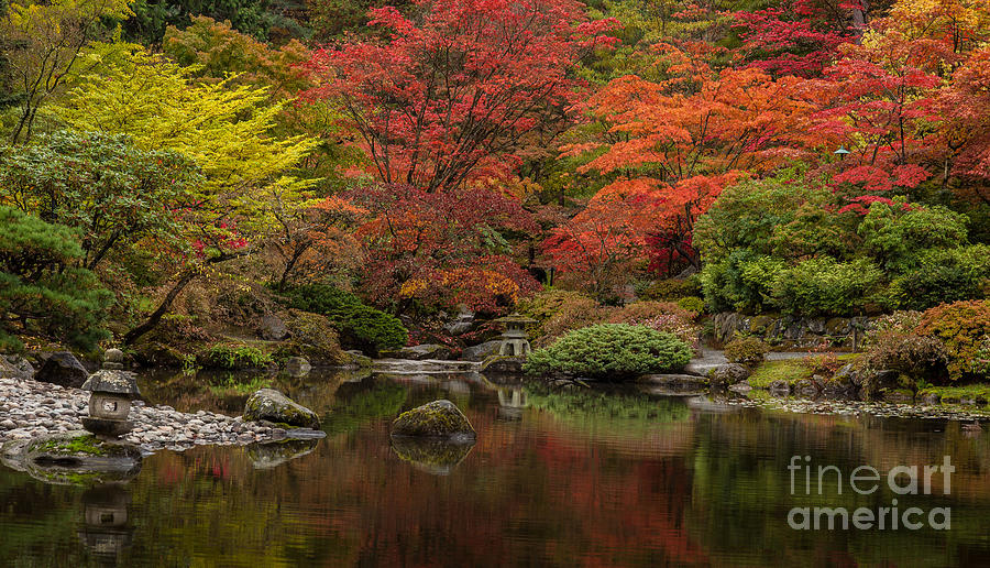 Zen Garden Reflected Photograph By Mike Reid