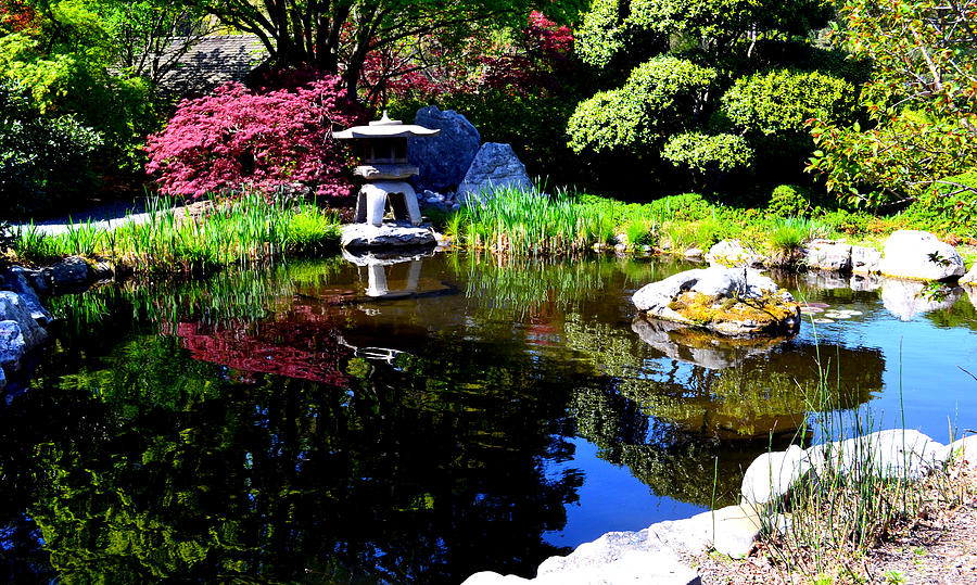 Zen Garden Reflections extra large format Photograph by Katy Hawk