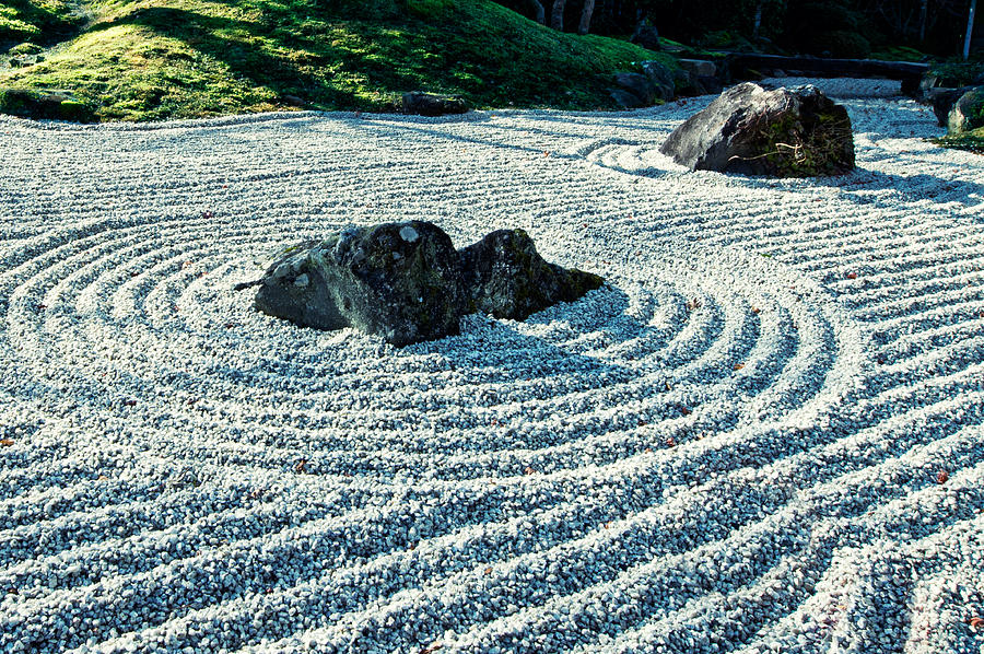 Zen Garden Photograph by U Schade