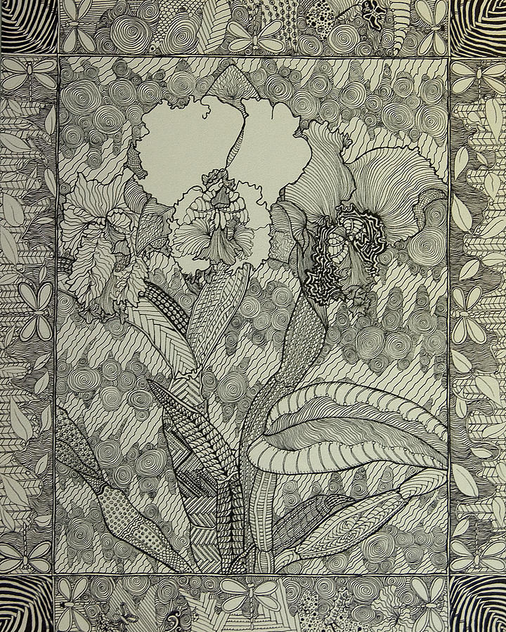 Zen Orchids Drawing by Terry Holliday