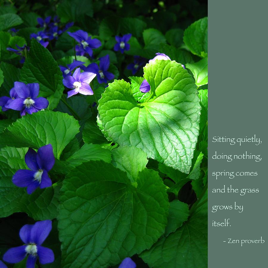 Buddha Photograph - Zen Proverb with Violets by Hermes Fine Art