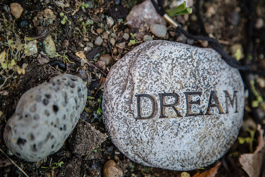 Nature Photograph - Zen stone Dream  by Eti Reid
