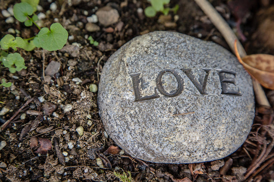 Zen stone LOVE Photograph by Eti Reid