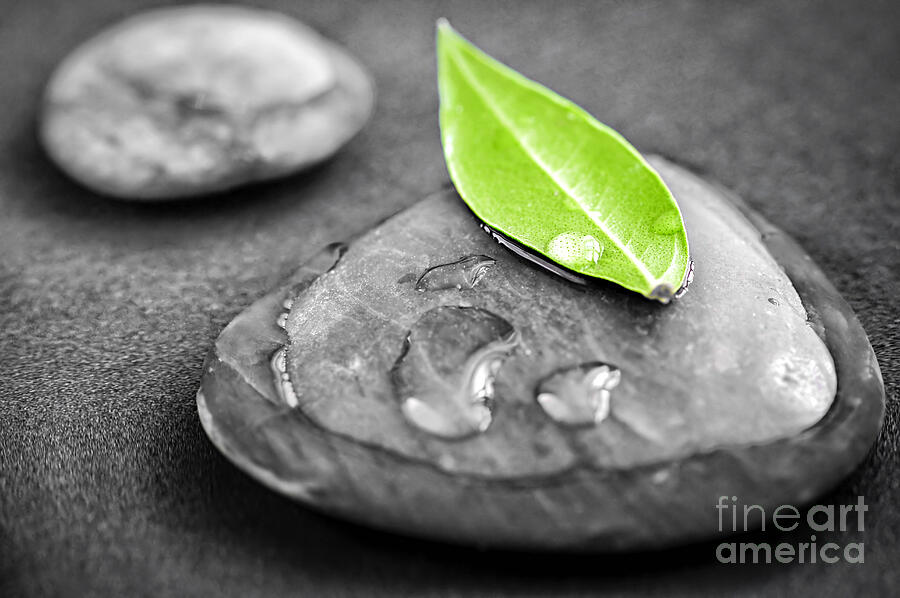 Nature Photograph - Zen stones 3 by Elena Elisseeva