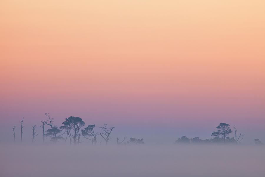 Zen Sunrise At Chincoteague Photograph by Denise Bush