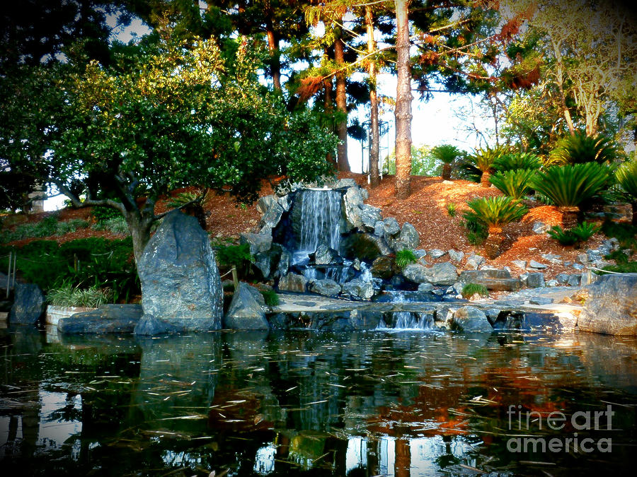 Tree Photograph - Zen Waterfall II by Therese Alcorn