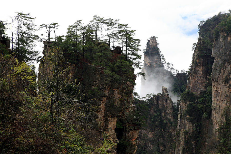 Zhangjiajie National Forest Park in China Photograph by Yue Wang