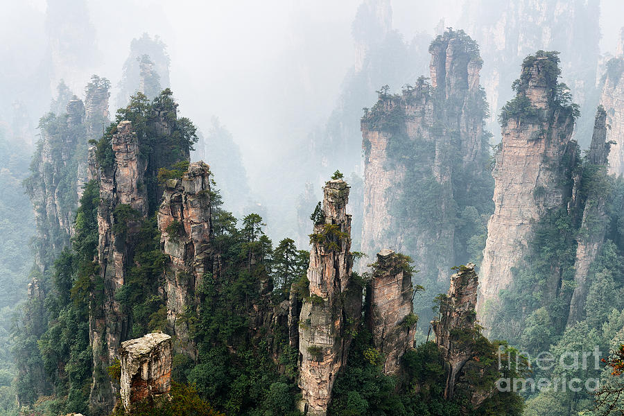 Avatar Photograph - Zhangjiajie National Forest Park scenery by Maxim Images Exquisite Prints