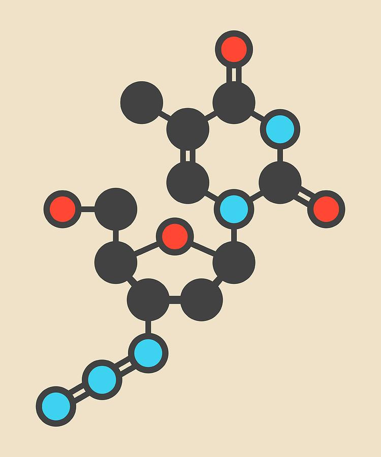 Zidovudine Hiv Drug Molecule Photograph by Molekuul