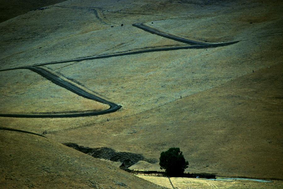 Zigzag Road Photograph by Eric Tressler