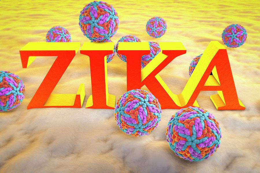 Illustration Photograph - Zika Viruses And Inscription Zika by Kateryna Kon/science Photo Library