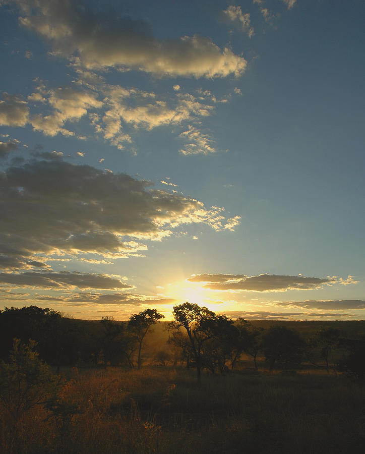 Zimbabwe Sunset Photograph by David Drew