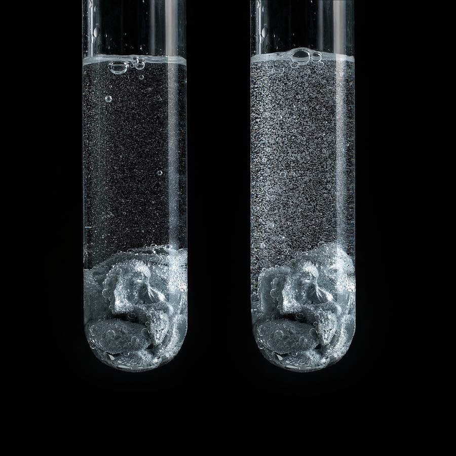 Zinc Reaction With Strong And Weak Acid Photograph by Science Photo Library