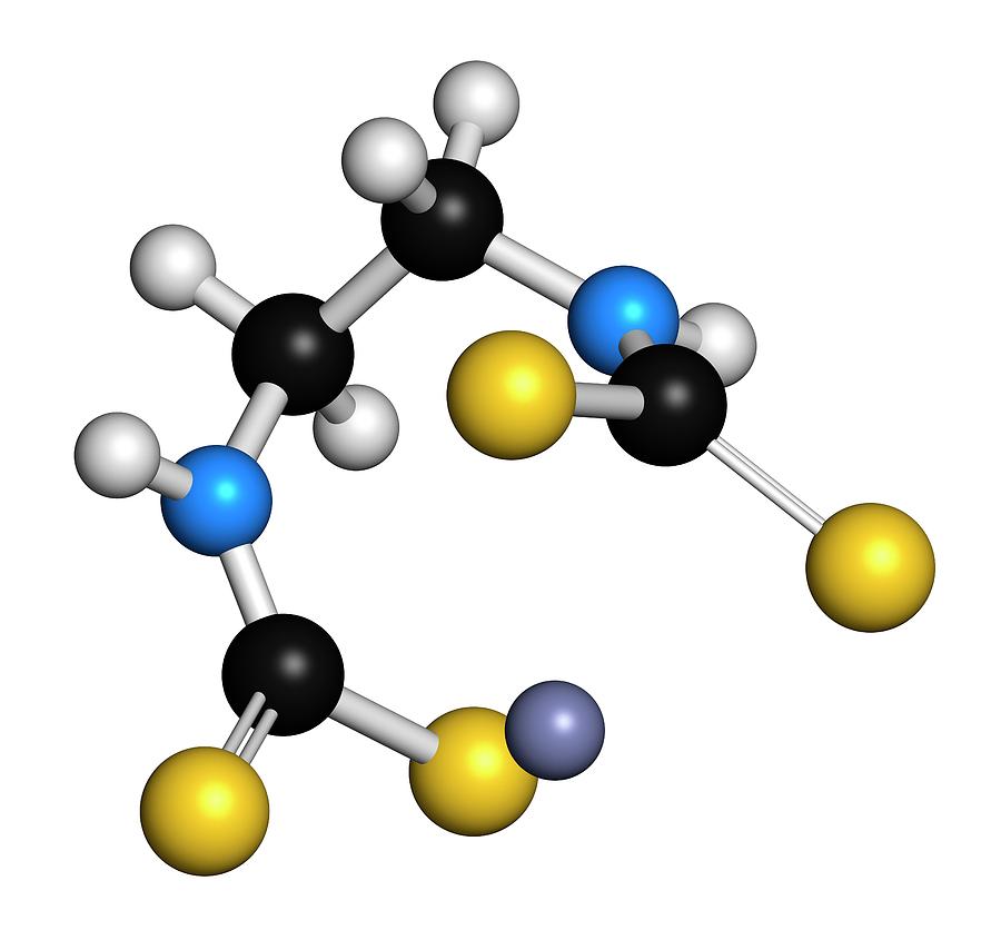 Zineb Fungicide Molecule Photograph by Molekuul/science Photo Library ...