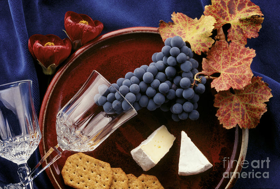 Zinfandel Grapes Brie and Crackers Photograph by Craig Lovell