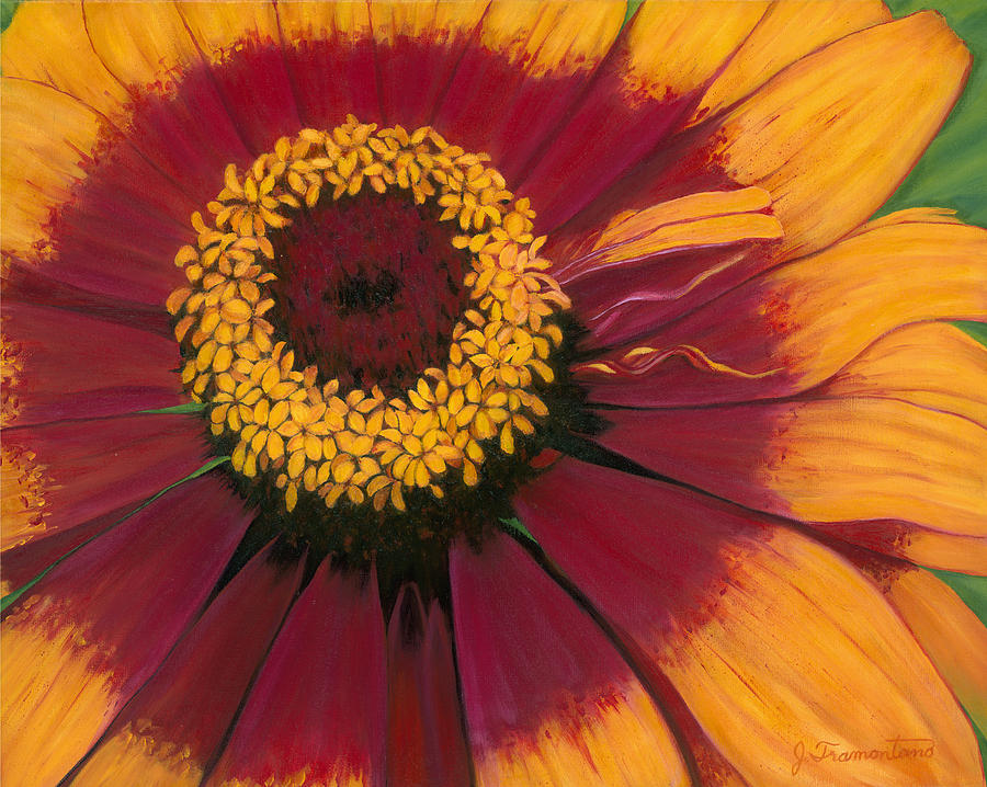 Zinnia Painting by Jeannette Tramontano