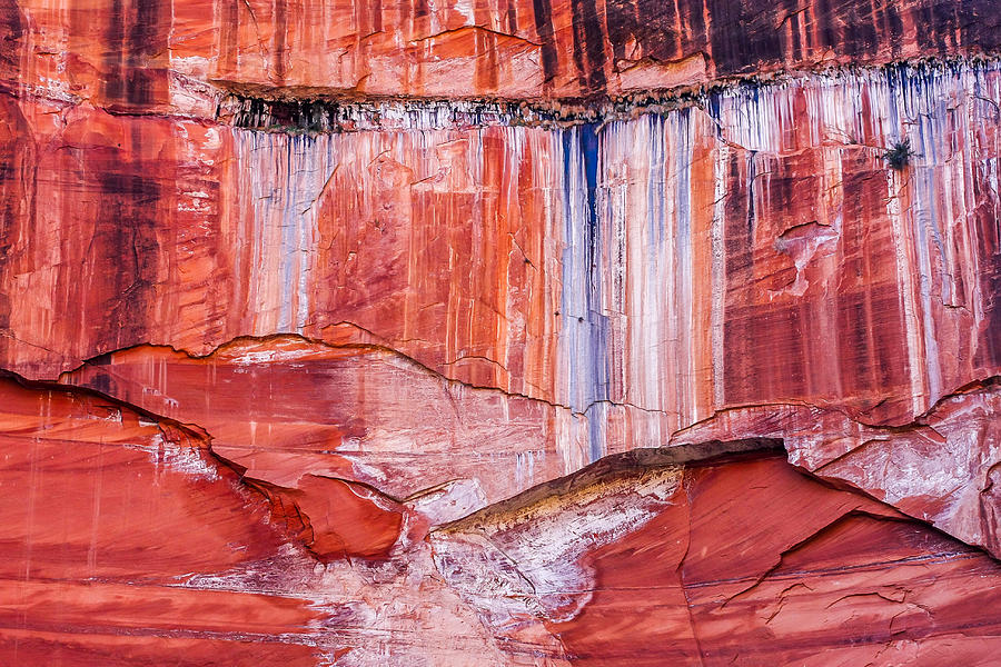 Zion Abstract Photograph
