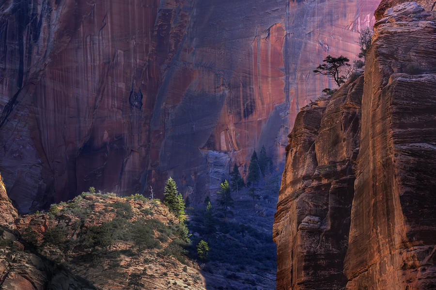 Zion Canyon Photograph by Michael Just