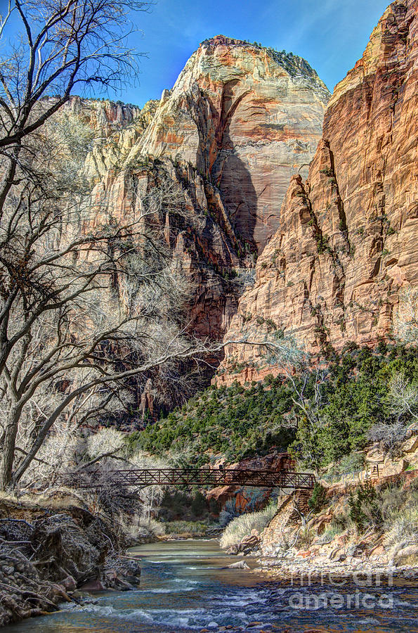 Zion Canyon On The Virgin River Photograph