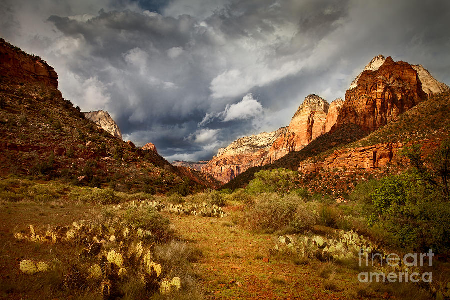 Zion Clearing Storm Photograph by Alice Cahill