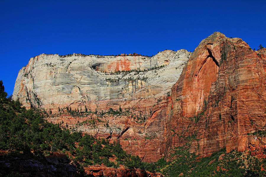 Zion Cliff and Arch Photograph by Jemmy Archer