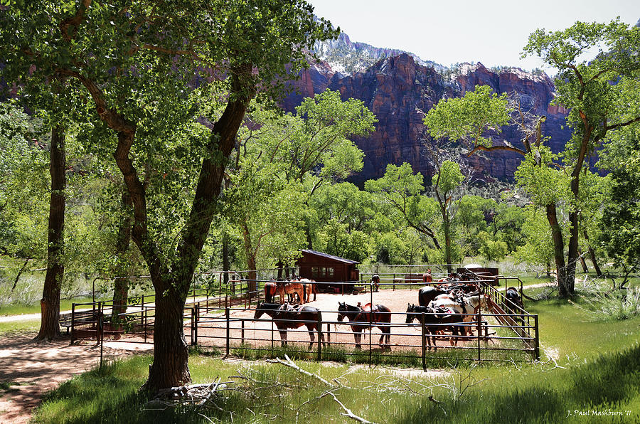 Zion Horse Corral Photograph by Paul Mashburn