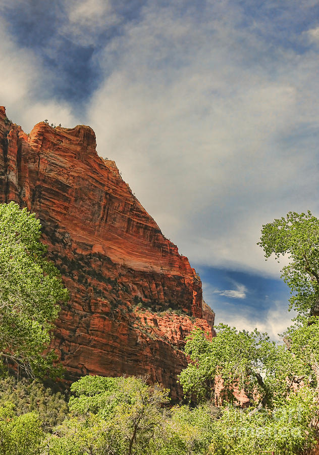Zion National Park Photograph - Zion II by Chuck Kuhn