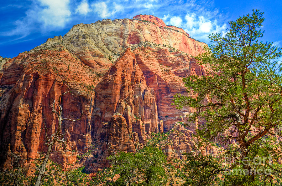 Zion Landscape Photograph by Kelly Wade