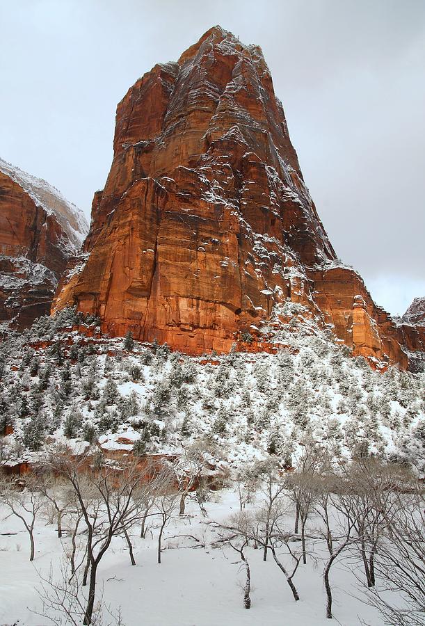 Zion monolith in snow Photograph by Jetson Nguyen