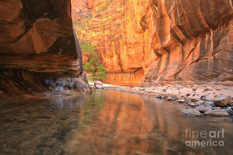 Zion Narrows Bend Photograph by Adam Jewell