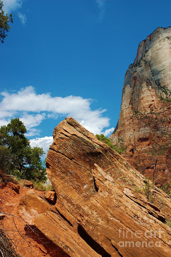 Zion National Park 4 Photograph by Micah May