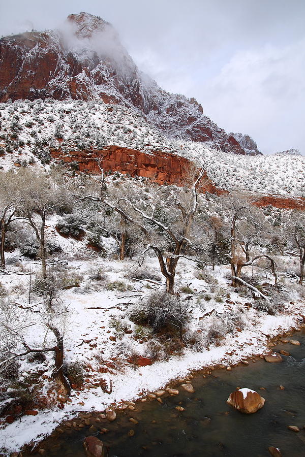 Zion National Park in snow Photograph by Jetson Nguyen